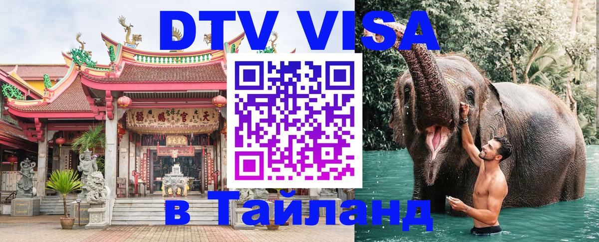 Сколько стоит DTV виза — актуальные цены, оформление даже без документов - 21.11.2025 